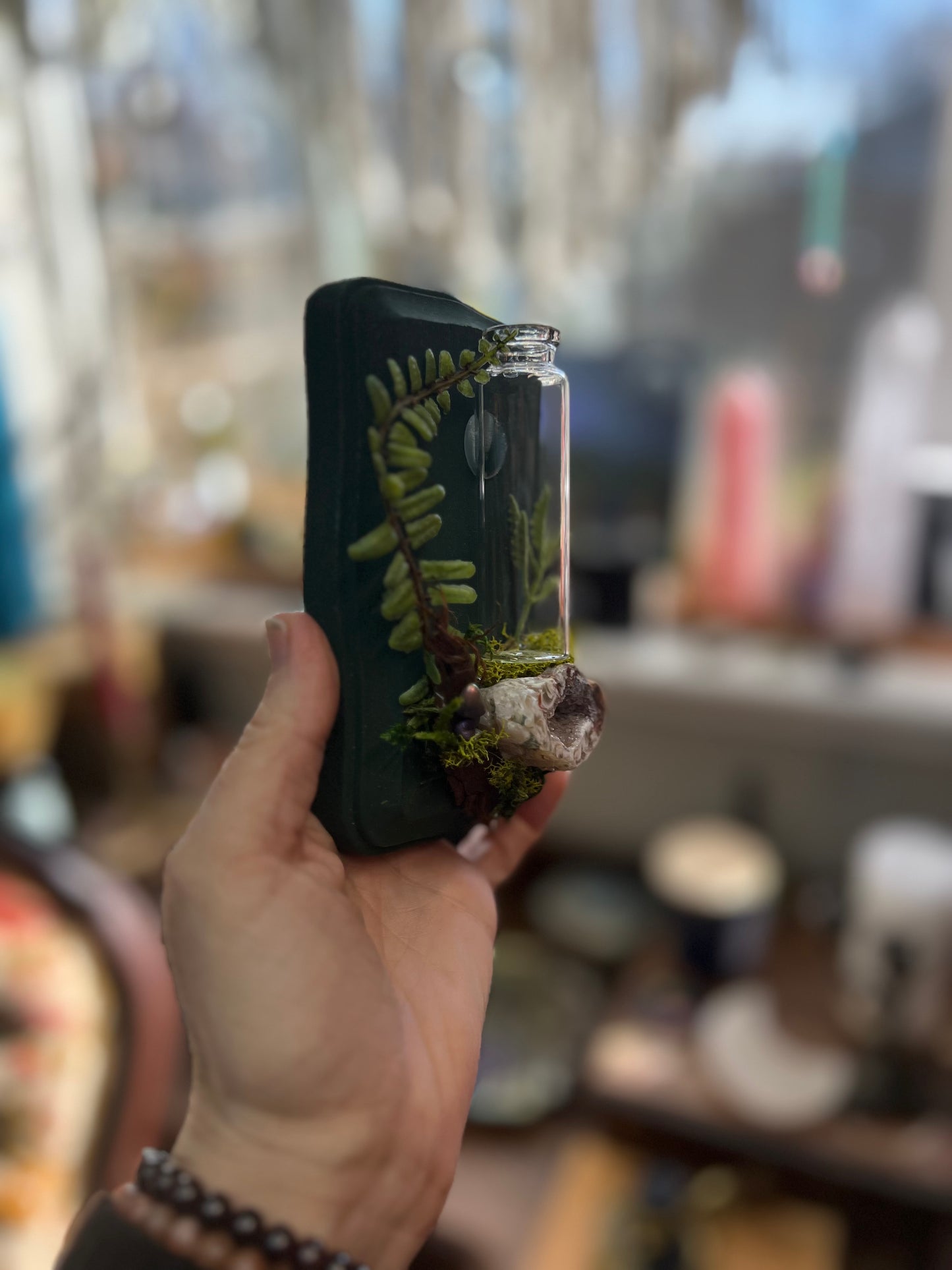 Crystal Moss Propagation Wall Plaque
