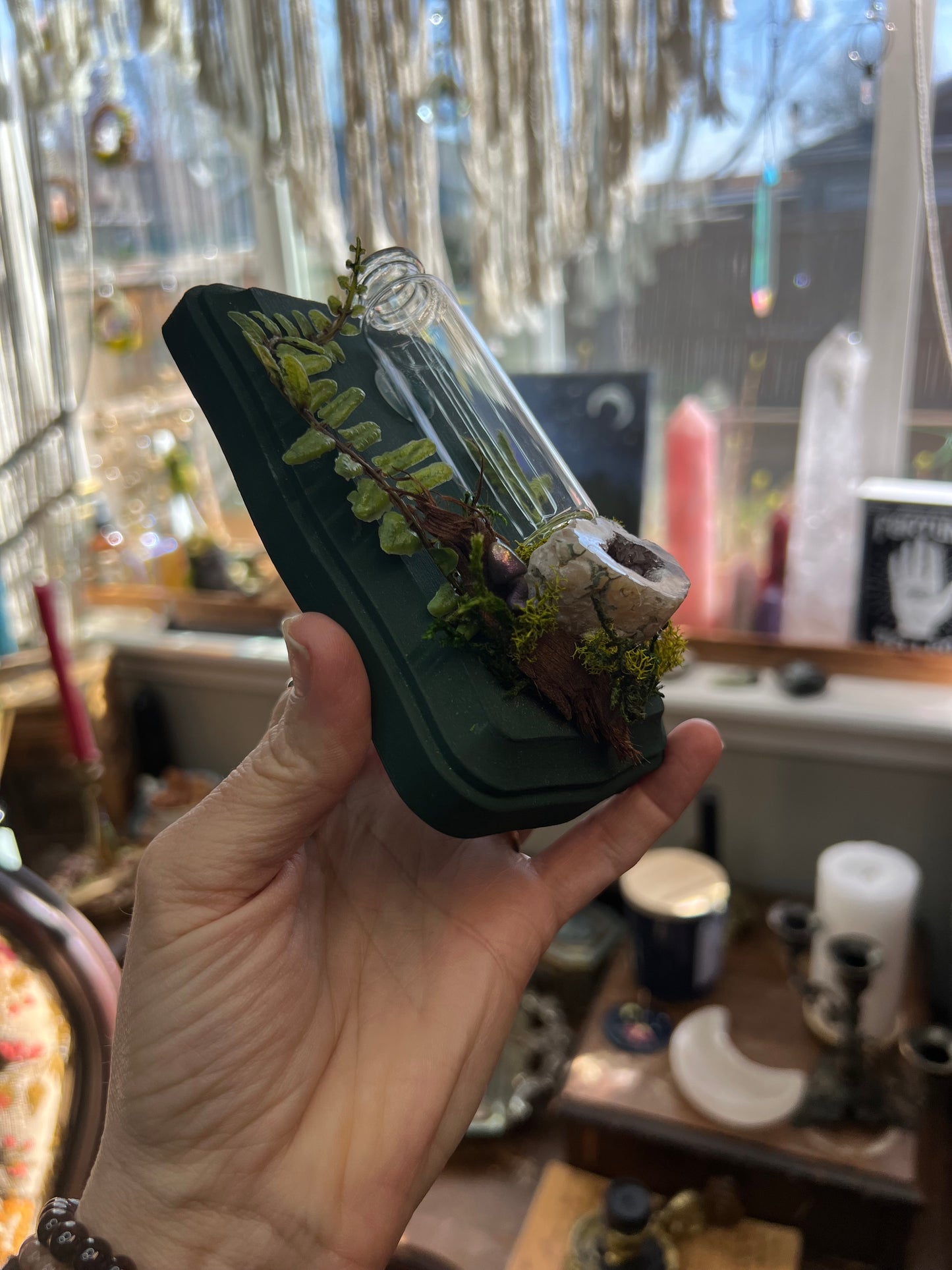 Crystal Moss Propagation Wall Plaque