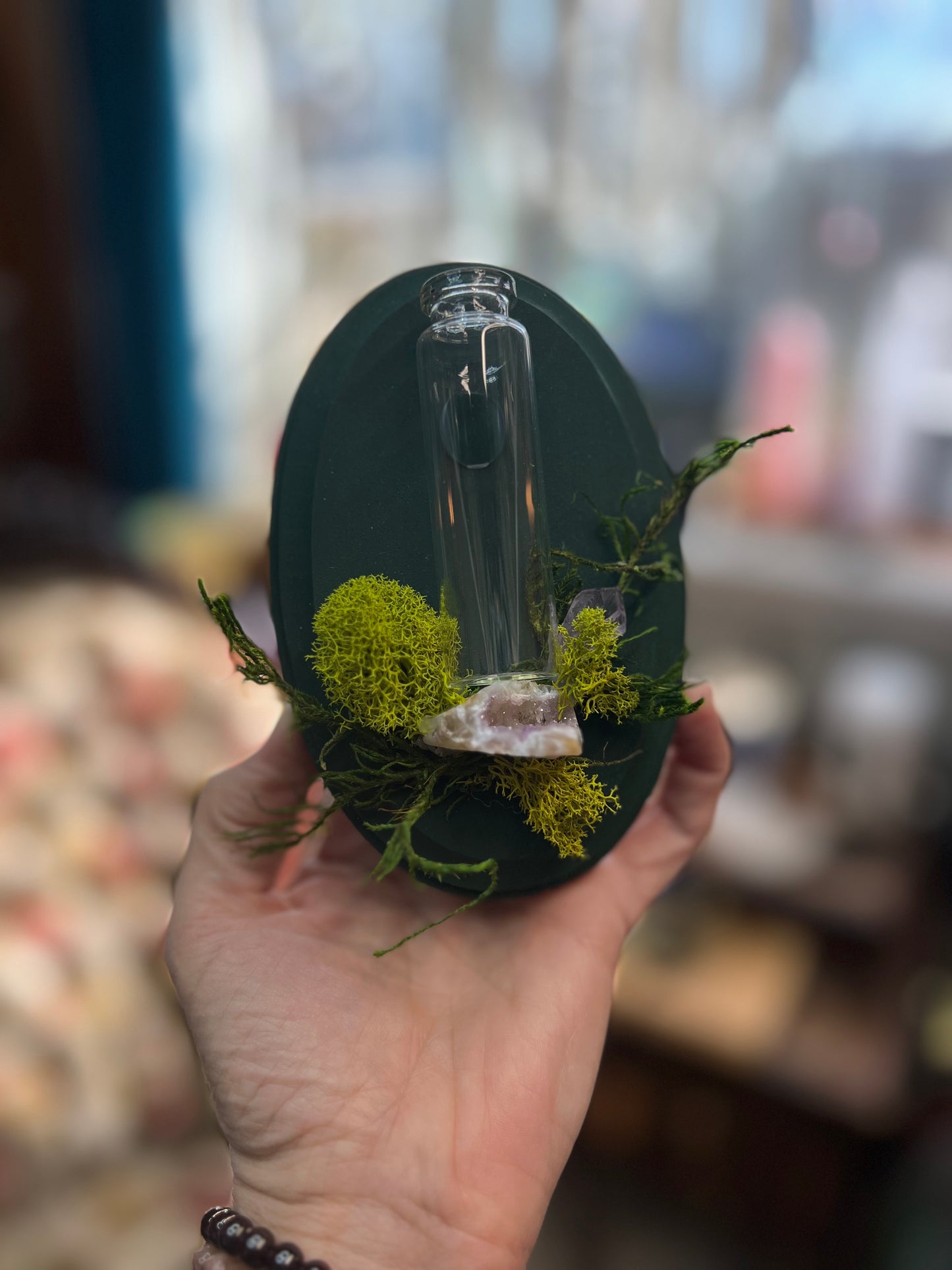 Crystal Moss Propagation Wall Plaque