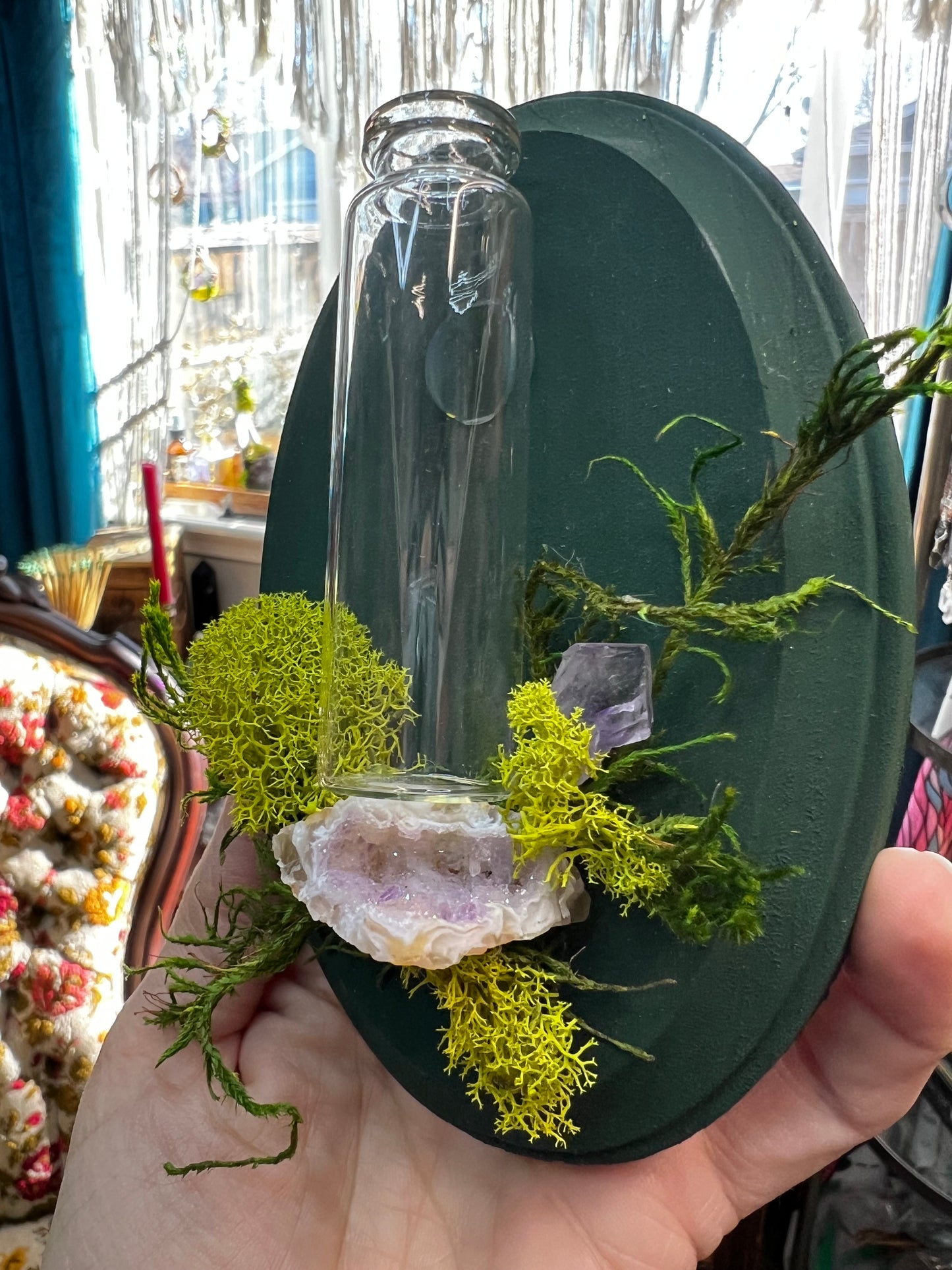 Crystal Moss Propagation Wall Plaque
