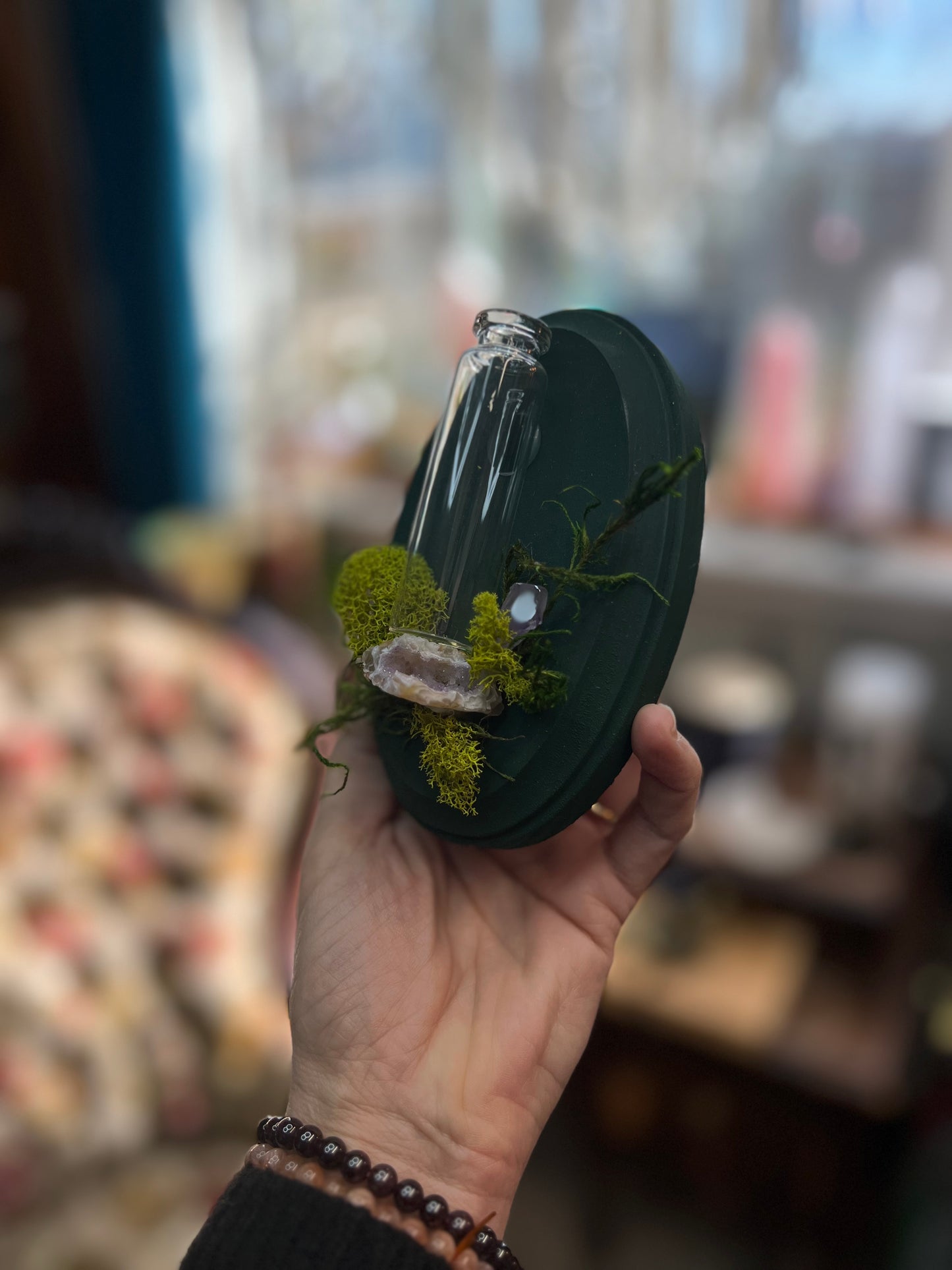 Crystal Moss Propagation Wall Plaque