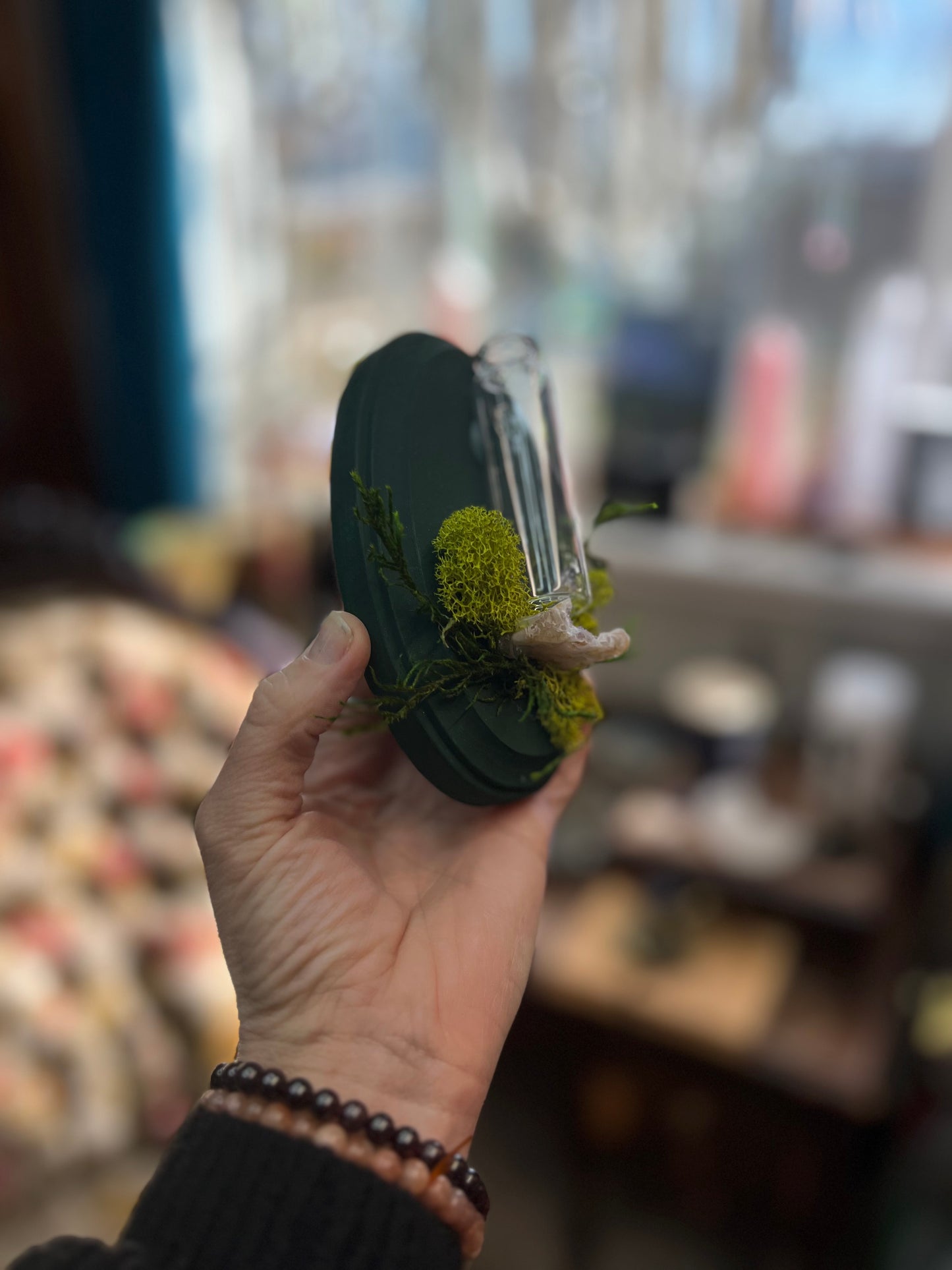 Crystal Moss Propagation Wall Plaque