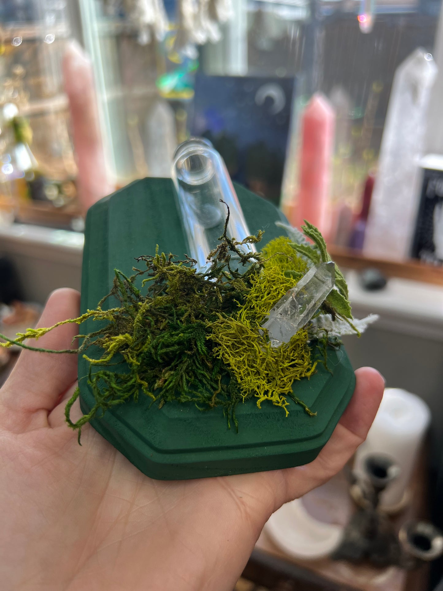 Crystal Moss Propagation Wall Plaque