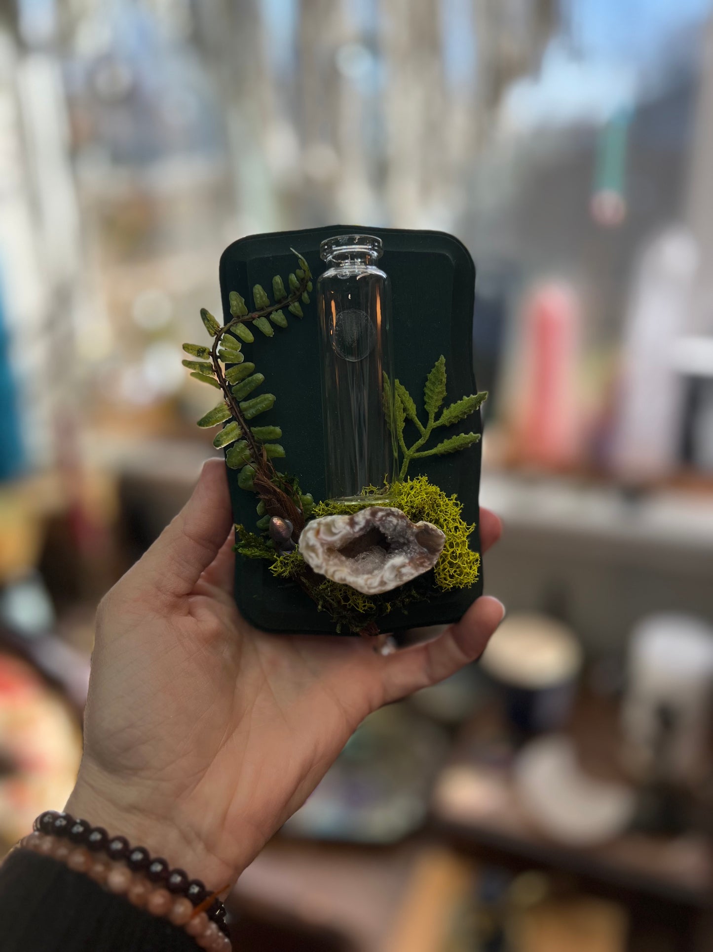 Crystal Moss Propagation Wall Plaque