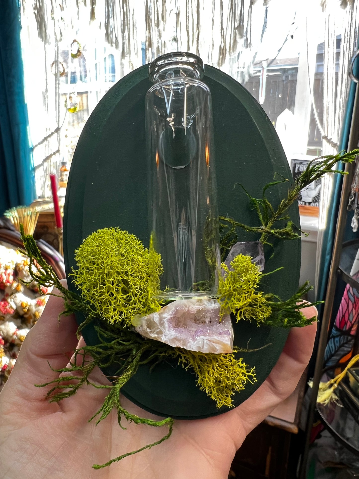 Crystal Moss Propagation Wall Plaque