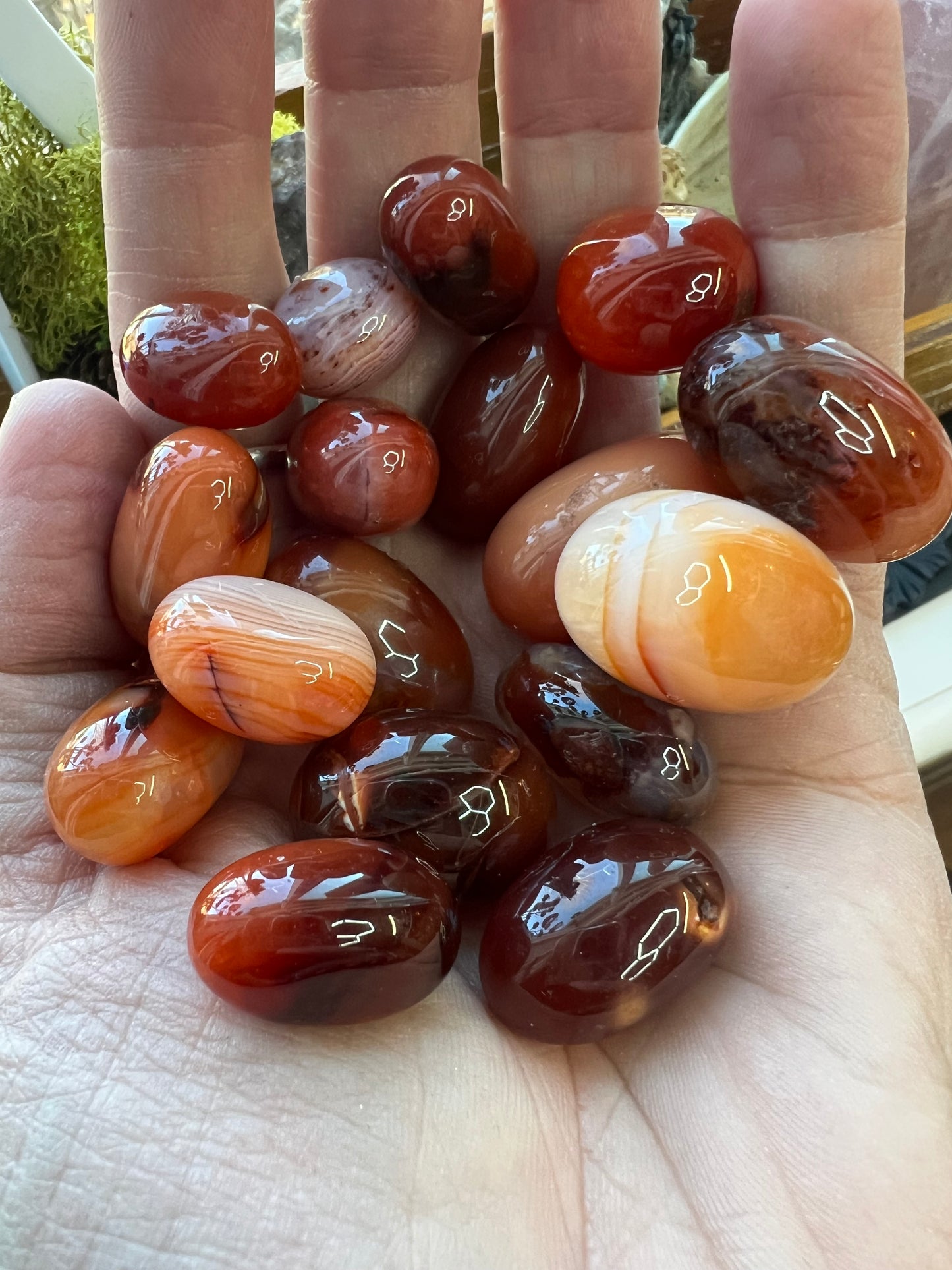 Small Carnelian Eggs