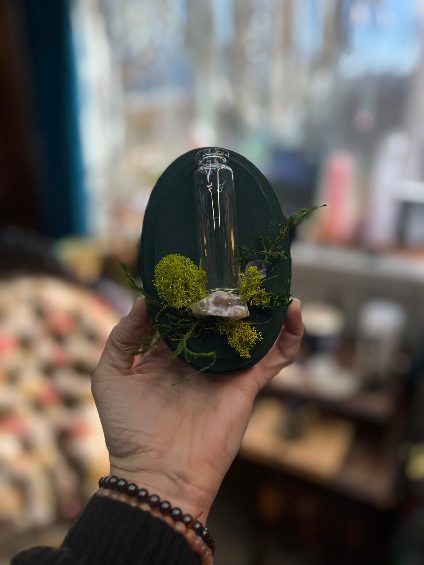 Crystal Moss Propagation Wall Plaque