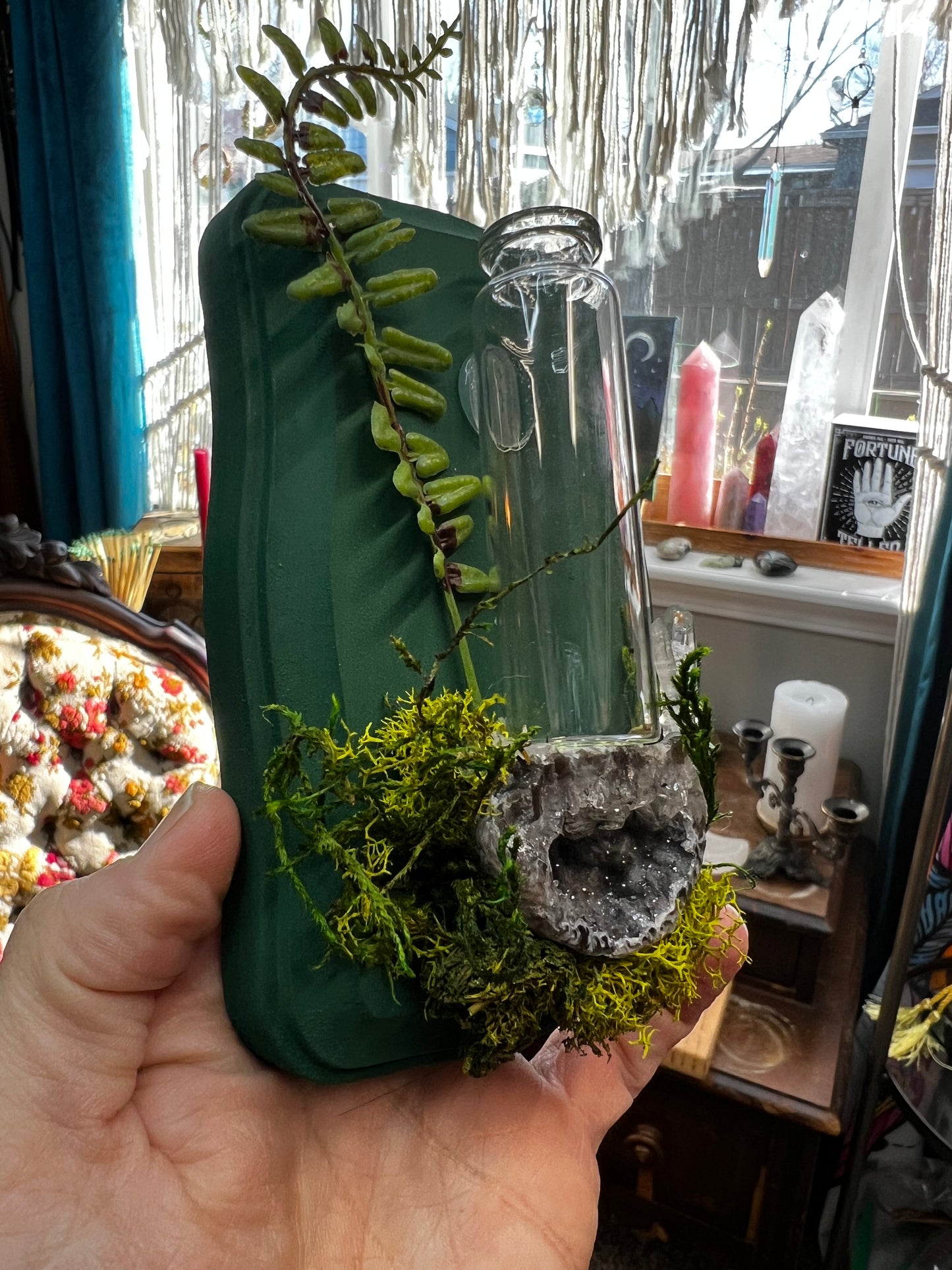 Crystal Moss Propagation Wall Plaque
