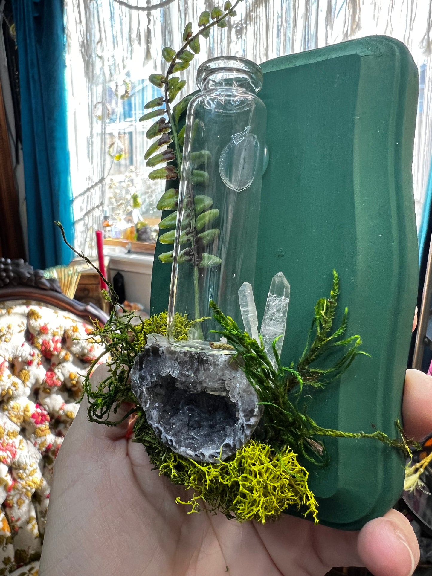 Crystal Moss Propagation Wall Plaque