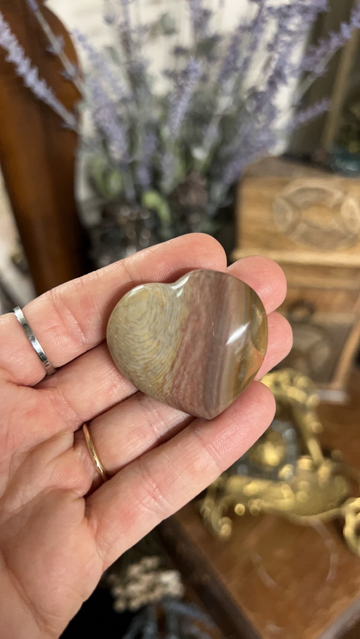 Arizona Petrified Wood Heart- Rainbow Wood