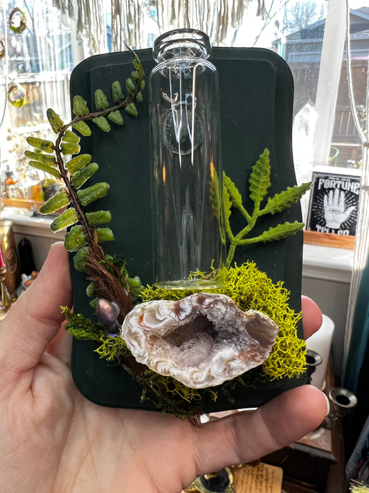 Crystal Moss Propagation Wall Plaque