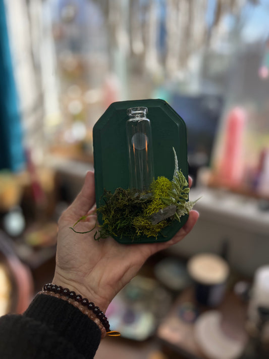 Crystal Moss Propagation Wall Plaque