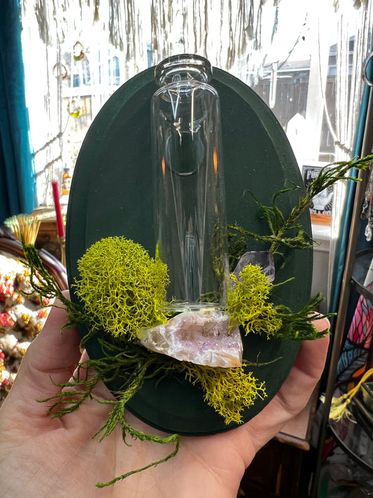 Crystal Moss Propagation Wall Plaque