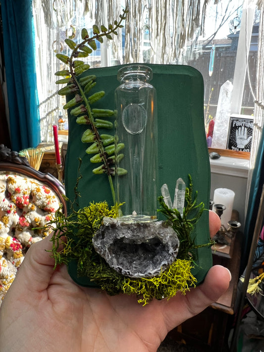 Crystal Moss Propagation Wall Plaque